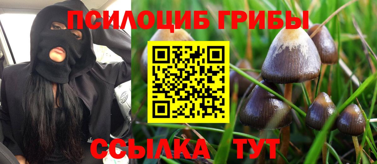 Галлюциногенные грибы MAGIC MUSHROOMS Лосино-Петровский