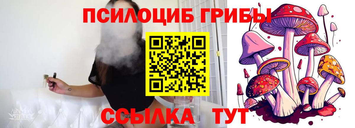 Псилоцибиновые грибы прущие грибы  Вход с VPN  Лосино-Петровский 